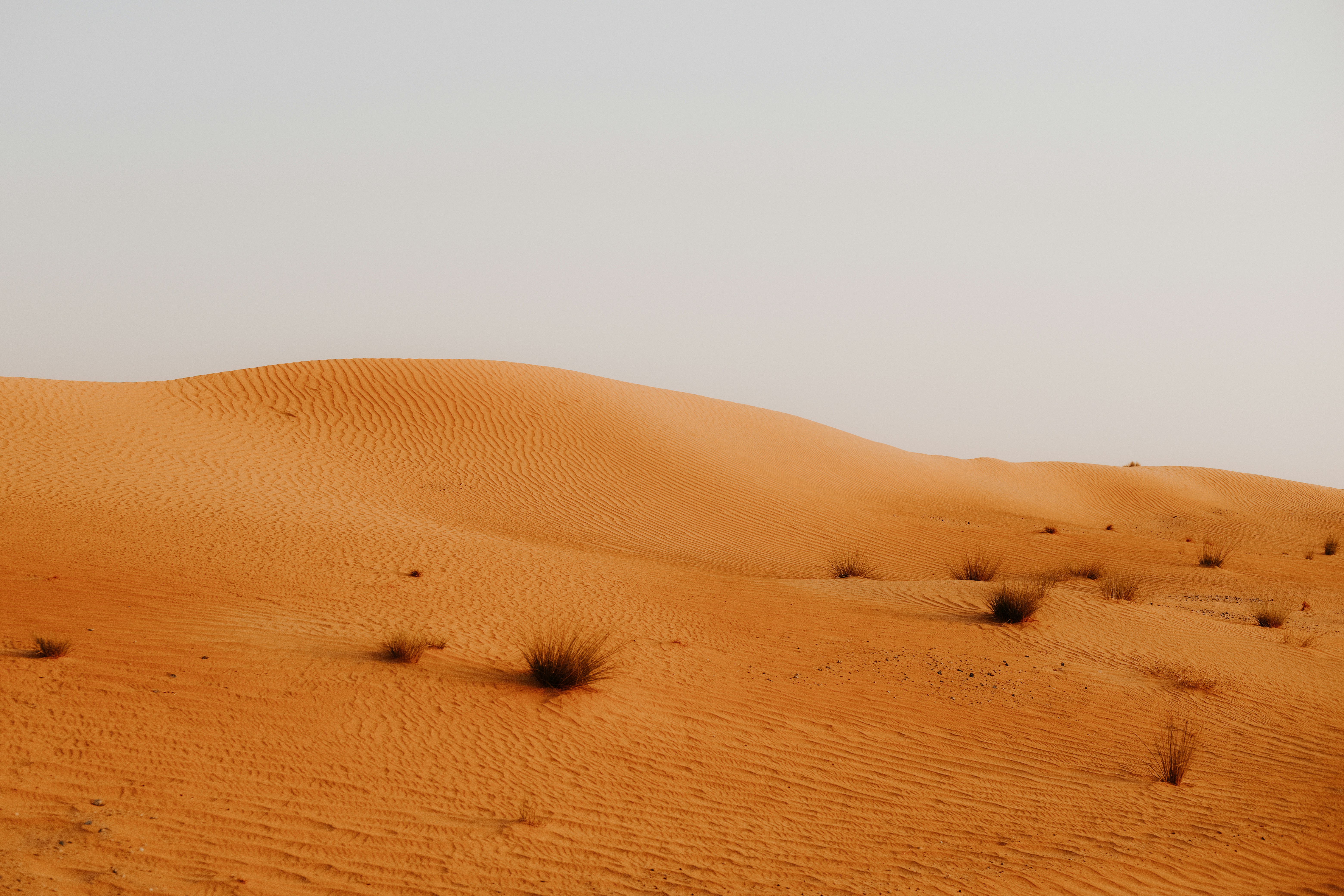 Golden sand dunes in the Middle East desert